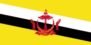 브루나이 국기